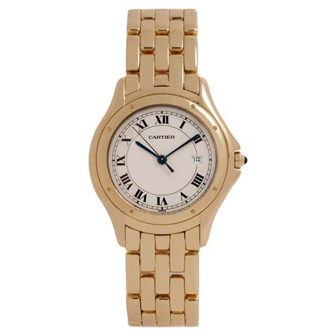 cartier panthere watch discontinued|其他.